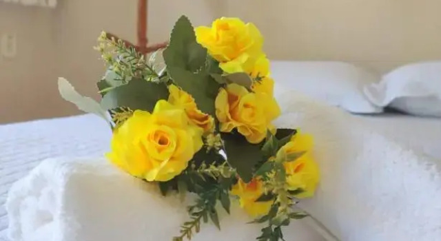 Двухместный номер Standard Pousada Flor D'Açucena