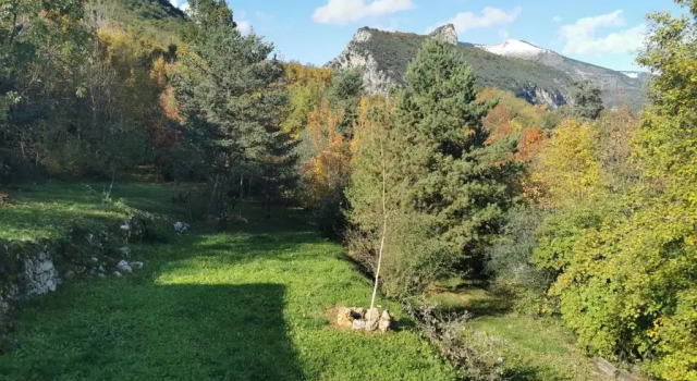 Шале c 1 комнатой Le Cabanon