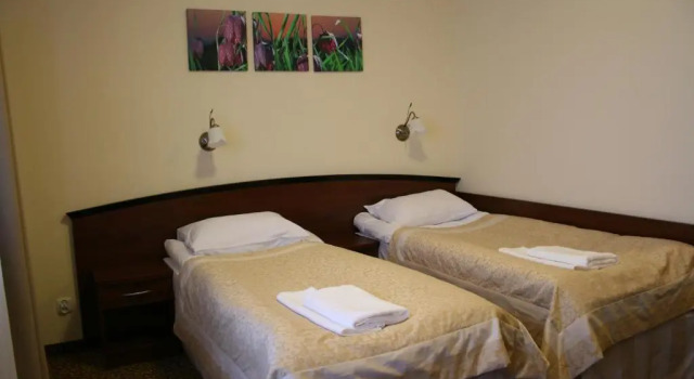 Двухместный номер Standard Hotel Zieleniec