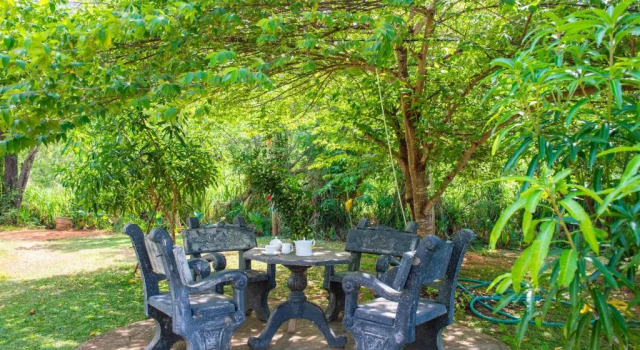 Sigiriya Sun Shine Villa