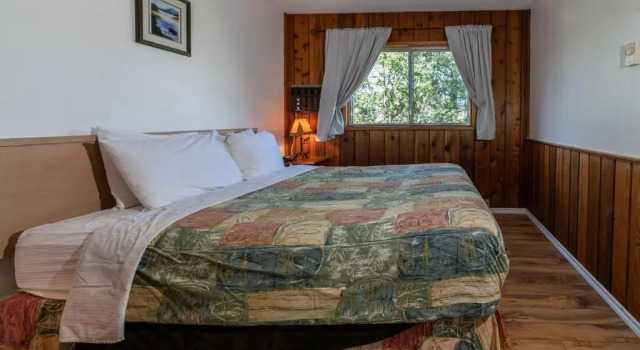 Номер Deluxe Cedar Motel
