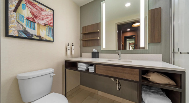 Номер Standard Hilton Garden Inn Media