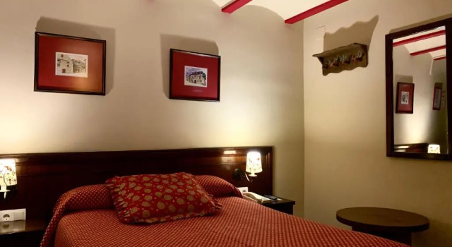 Одноместный номер Standard Hotel Aran La Abuela