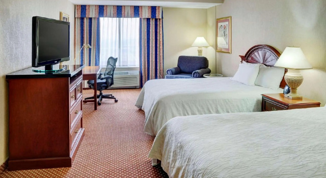 Четырёхместный номер Standard Hilton Garden Inn Kitchener/Cambridge