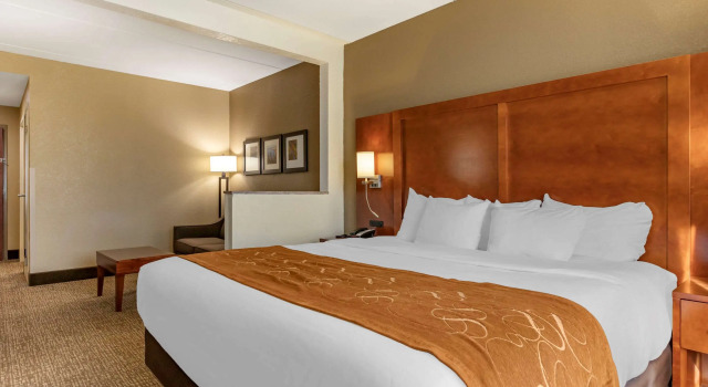 Двухместный люкс Comfort Suites Grand Rapids South