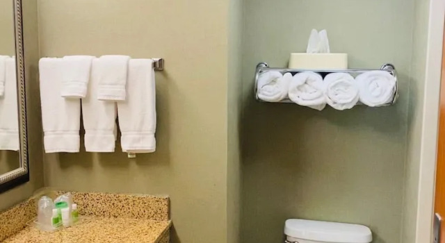 Люкс c 1 комнатой Holiday Inn Memphis-Univ Of Memphis