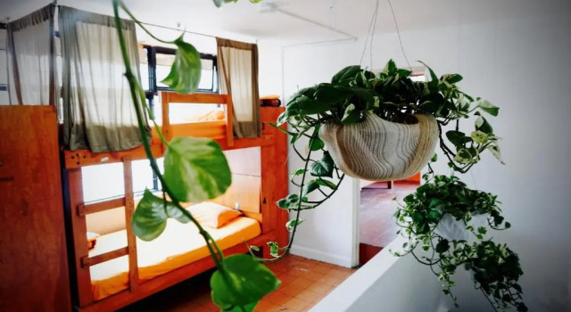 Letto in camerata Blue Pepper Chapultepec