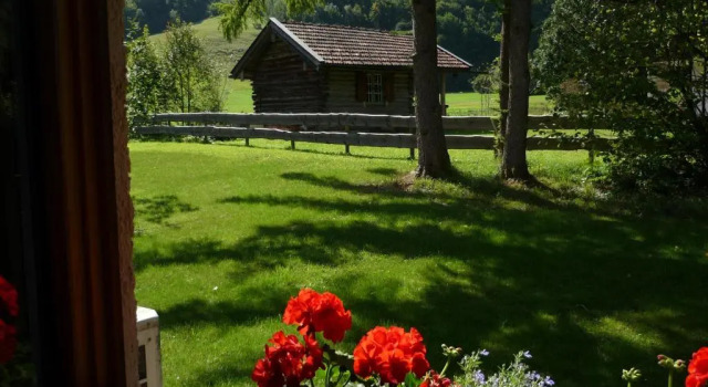 Апартаменты Am Schlierbach