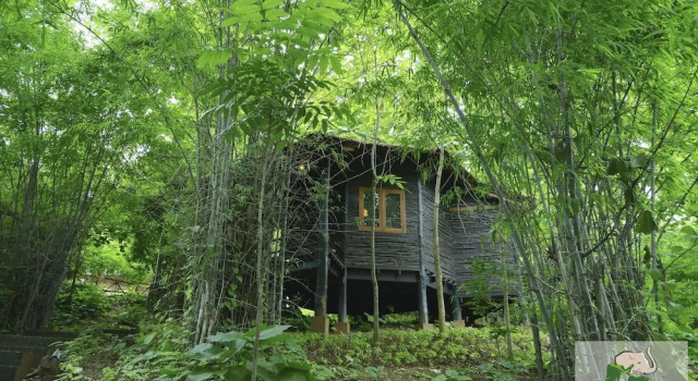 Бунгало Deluxe Bago Yoma Eco Resort