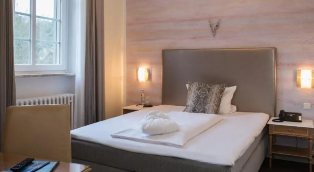 Одноместный номер Standard Jagdschloss Hotel Niederwald