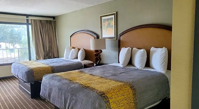 Номер Standard Palmetto Inn & Suites