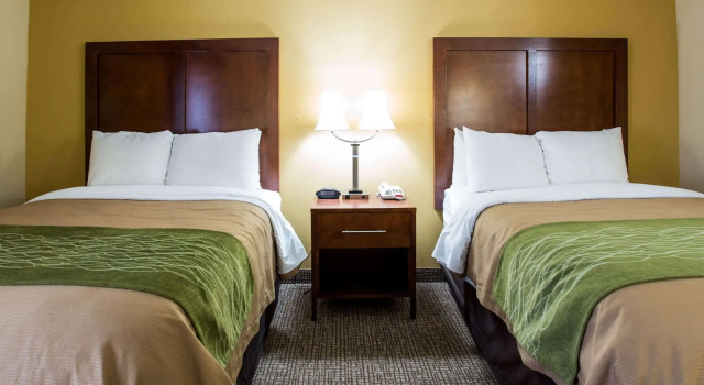 Четырёхместный номер Standard Comfort Inn Columbia West
