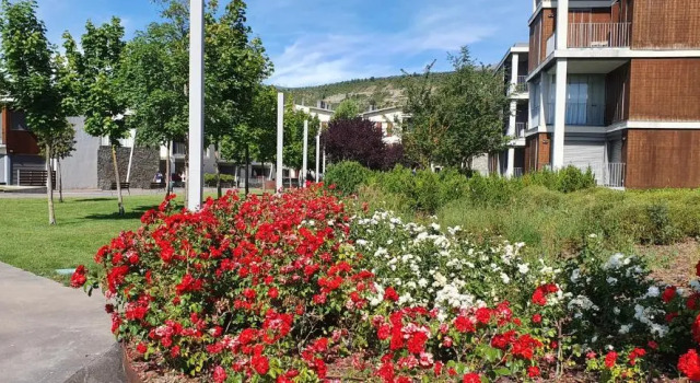 Apartamento Pirineo De Huesca, Jaca, Formigal, Panticosa, Rezervați Apartament Sabinanigo 