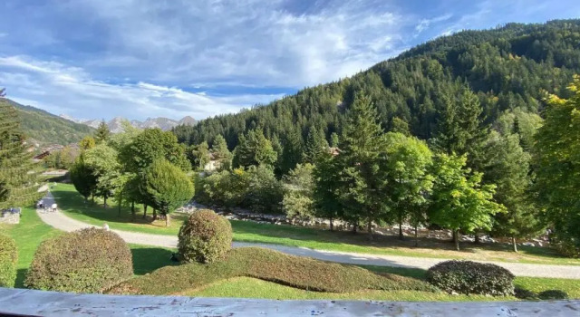 Appartement Le Grand-Bornand, 1 pièce, 3 personnes - FR-1-241-238