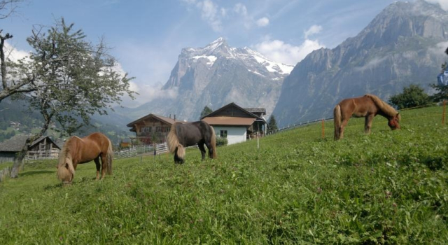 B&B Vor dem Holz