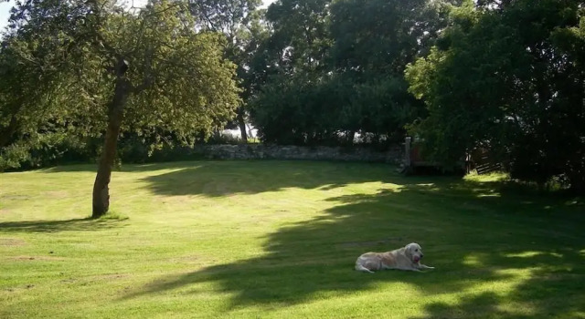 Coombe Orchard, Réserver Hôtel Swanage Jurassic Coast