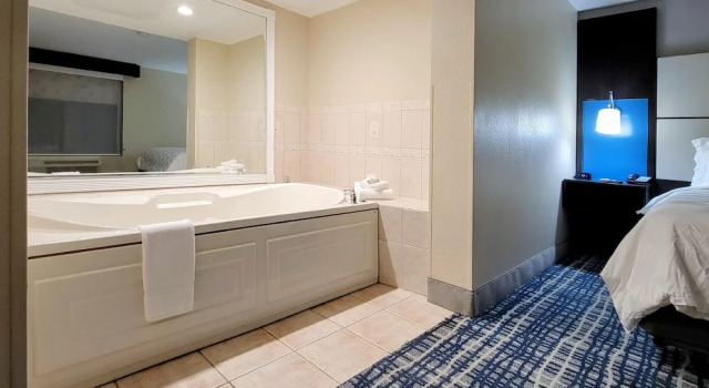 Двухместный люкс Holiday Inn - Belcamp - Aberdeen Area by IHG