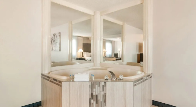 Двухместный люкс American Inn & Suites Metro Airport