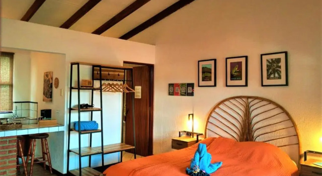 Номер Deluxe Orosi Lodge