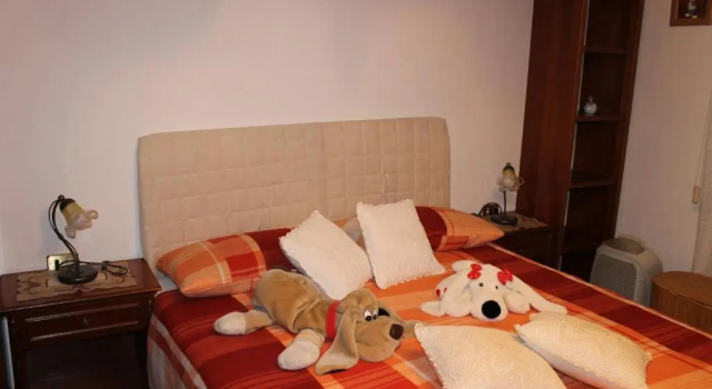 Patricks House, Prenota Hotel Belluno Dolomiti