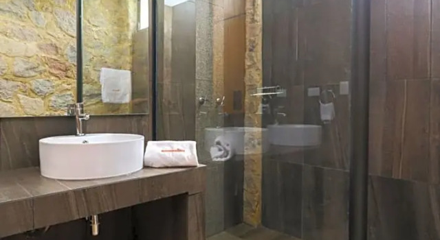 Номер Superior Hotel Boutique Camino del Bosque