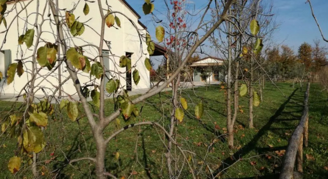 Двухместный номер Standard Agriturismo Corte Benetti