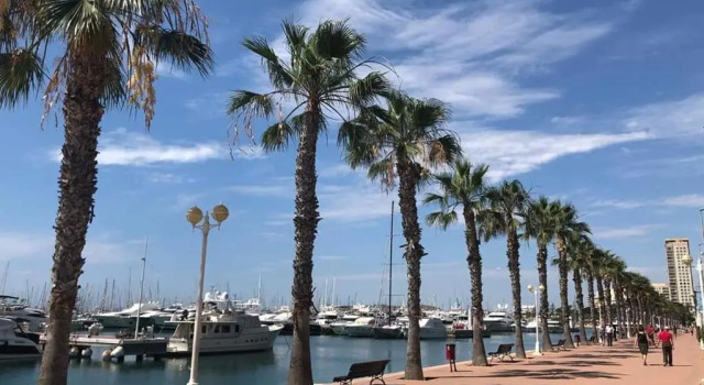 Студия Estudio de Lujo Casaturis En El Corazón de Alicante A114