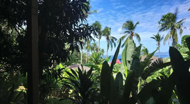 Семейный номер Standard Blue Mango Rooms & Villas
