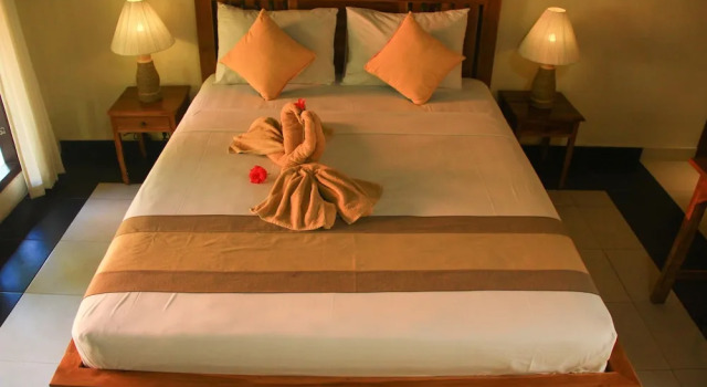 Номер Deluxe Ary House Ubud