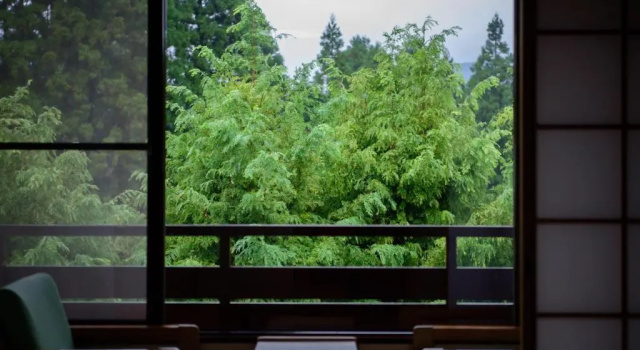 Двухместный номер Standard с видом на горы 료칸 여명 旅館 黎明 Ryokan Reimei