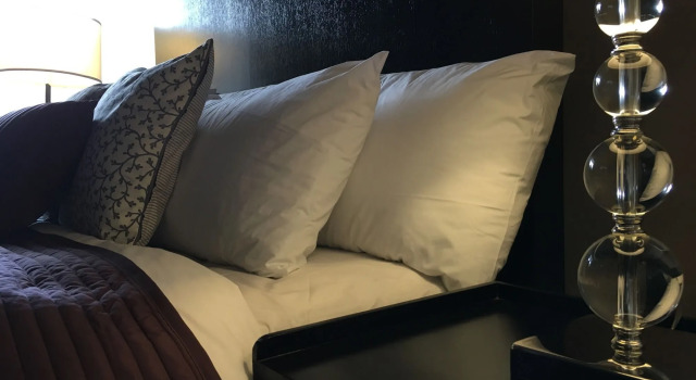 Hotel Del Sol, Boutique Phoenix Airport