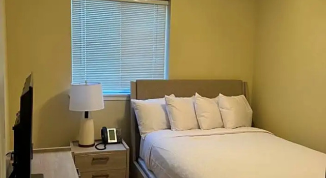 Апартаменты c 1 комнатой с балконом WASHBURN HOTEL SUITES