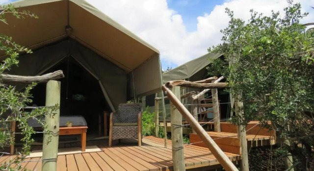 Семейный тент Woodbury Tented Camp - Amakhala Game Reserve