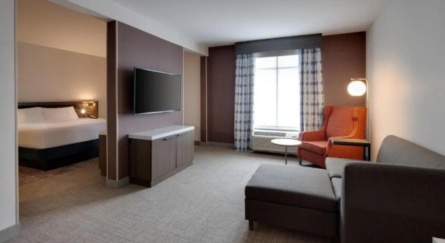 Люкс Hilton Garden Inn Haymarket