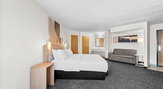 Двухместный номер Spark by Hilton Cedar Falls