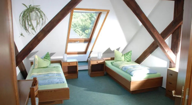 Двухместный номер Gasthof und Pension Frankenthal - garni