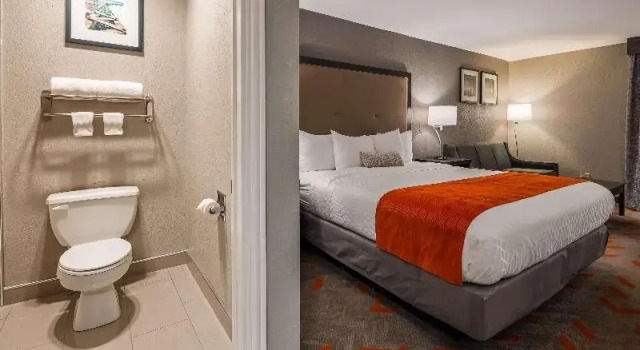 Четырёхместный номер Standard Best Western Plus North Joliet