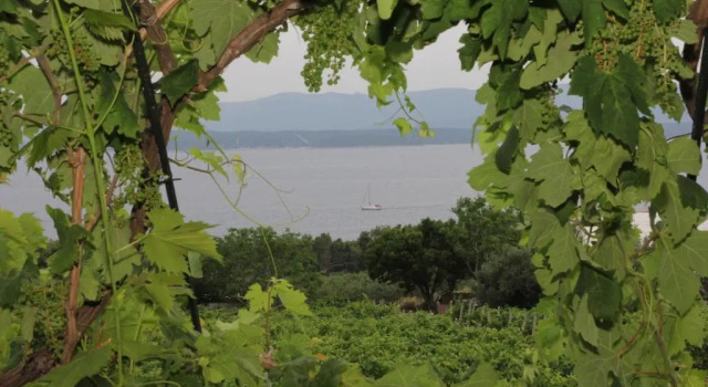 Holiday Home Vineyard House, Buchen Sie Hotel Hotels in Gespanschaft Split-Dalmatien mit Pool, Schwimmbad
