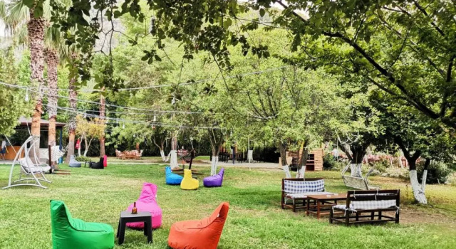Номер Economy Dalyan Yunus Hotel