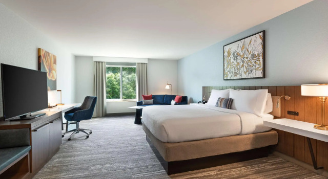Двухместный номер Standard Hilton Garden Inn Melville