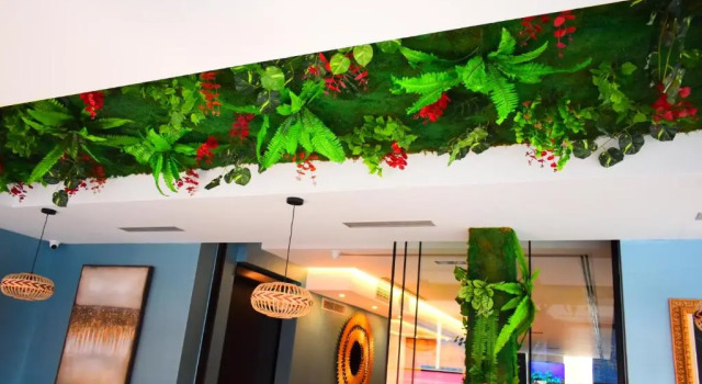 Carpe Diem Apartaments & Hotel, Book Hotel Hotels in Lezhë County with Parking, Parking
