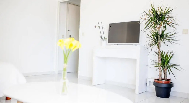 A flat in Cannes