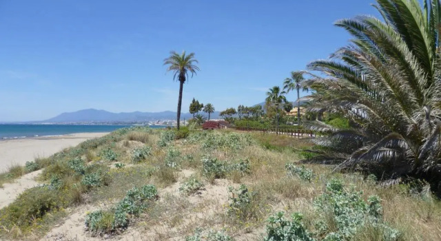 Апартаменты 15083- Wonderful Penthouse Los Monteros Beach