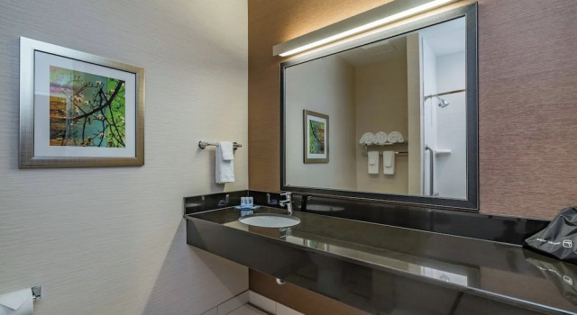 Двухместный люкс Fairfield Inn & Suites by Marriott Elkhart