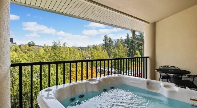 Номер Standard с балконом Bonneville Hot Springs Resort & Spa