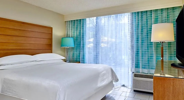 Номер Guest с видом на бассейн Sheraton Resort, Lake Buena Vista Orlando