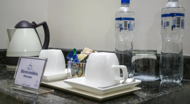 Двухместный номер Executive Lyz Business Hotel