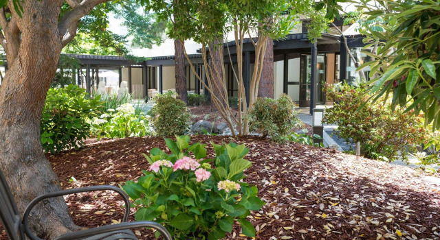 Четырёхместный номер Deluxe Sheraton Palo Alto Hotel