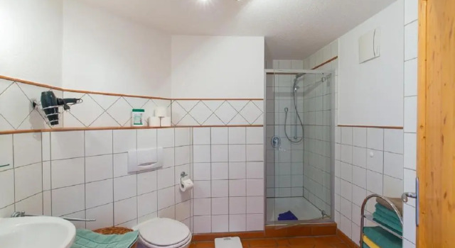 Apartamento 1 dormitorio Ferienhof Lecheler