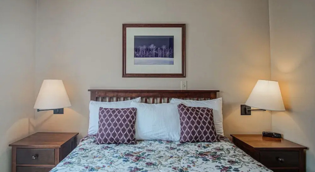 Allegheny Springs 201 : 2 Bedroom, 2 Full Bath: Slope Side; Gas Fireplace